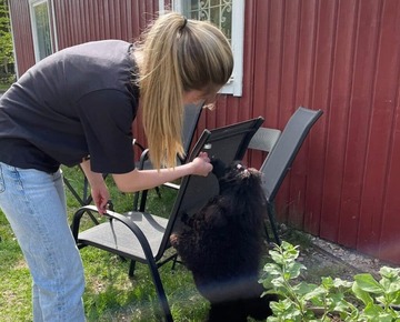 Öppenträning i Nose Work