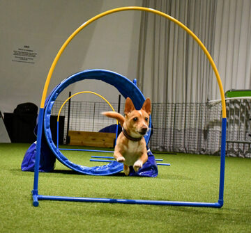 Hoopers Grundkurs