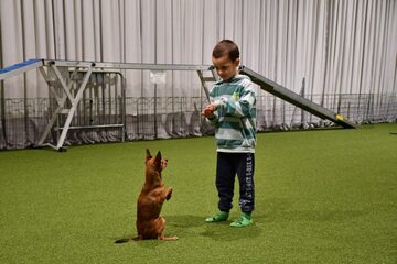 Temadag för barn - Aktivera din hund